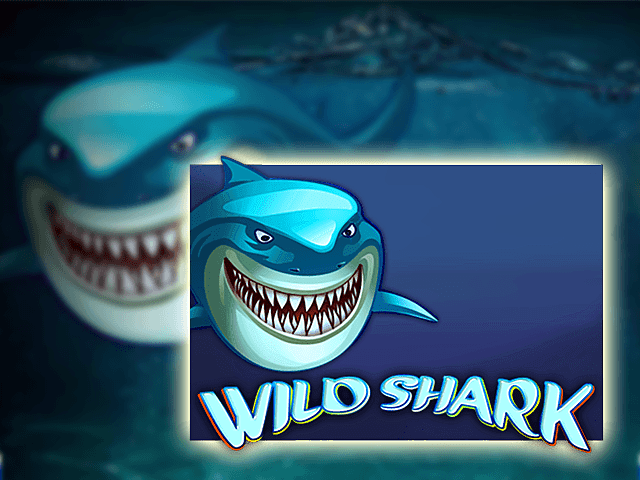 Wild Shark